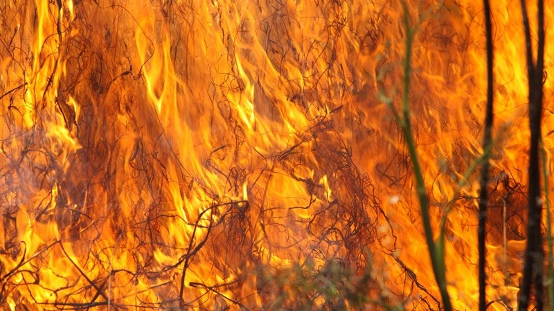 Сахалинские пожарные за день потушили столб, фонарь и траву