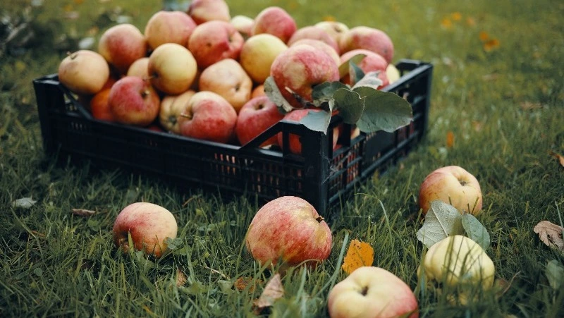 Церковный праздник 8 августа 2024: что нельзя делать в этот день, приметы