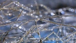 Сильный дождь с ветром ожидает жителей Южно-Сахалинска 21 апреля