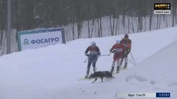 «Крепкого здоровья спортсменке»: в сахалинском минспорте прокомментировали инцидент на лыжных гонках