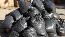 Большинство сахалинцев сортирует мусор