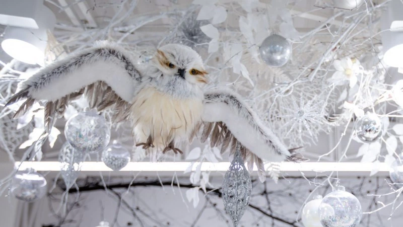 Предприниматели Южно-Сахалинска примут участие в новогоднем оформлении города