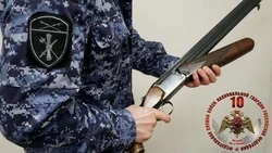 Жители Южно-Сахалинска не сдали тест и лишились четырех пистолетов и ружья