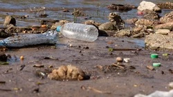 Акция «Вода России» пройдет на реке Еланьке в Южно-Сахалинске 19 августа