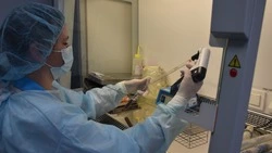 В куриной грудке из Китая на Дальнем Востоке нашли сальмонеллу