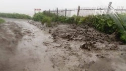 Движение на трассе Невельск – Томари восстановили после схода оползня