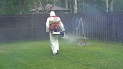 Специалисты рассказали о начале акарицидной обработки в Южно-Сахалинске