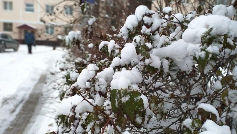 Синоптики спрогнозировали снег в Южно-Сахалинске 29 апреля 