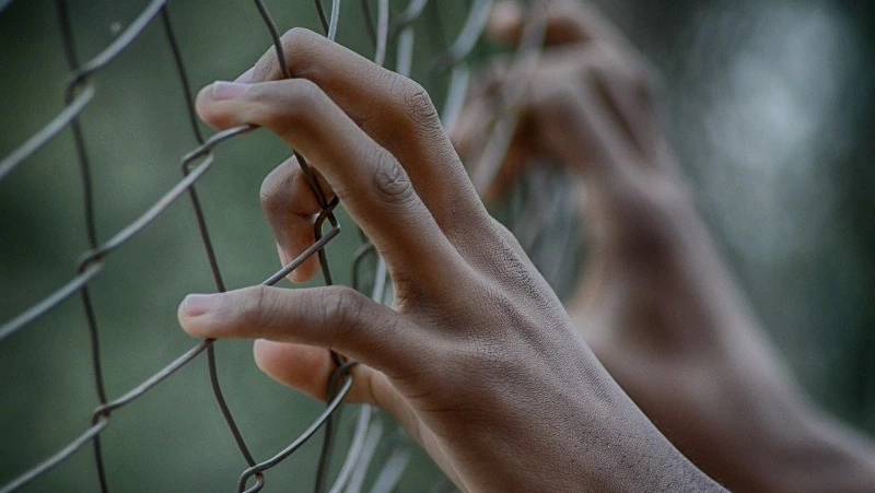 Общественная палата РФ объявила о формировании наблюдательной комиссии на Сахалине