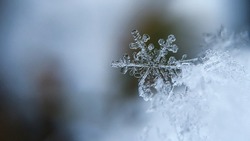 Снег с дождем и сильным ветром придут на Сахалин к 23 декабря