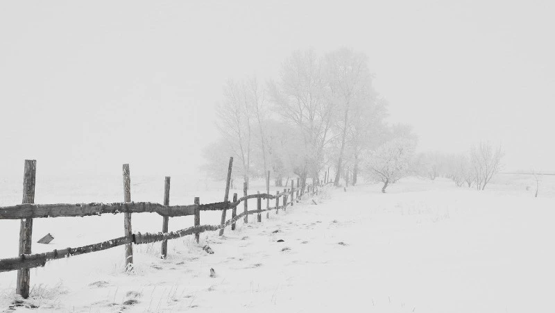 МЧС предупредило о метели и порывистом ветре в Северо-Курильском районе 28 марта