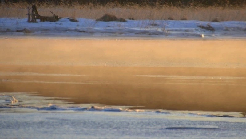 Возможен отрыв припая: МЧС предупредило об опасности выхода на лед 22 марта