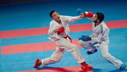 Сахалинские каратисты завоевали две медали на международном турнире в Москве