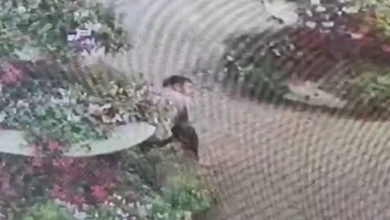 Нетрезвый житель Поронайска заночевал в цветочной клумбе в центре города