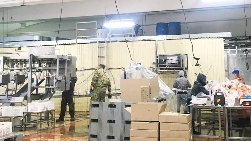 Работники птицефабрики «Островная» отказались работать, пока не получат оплату