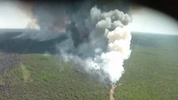 Площадь пожаров на Дальнем Востоке выросла в три раза за сутки 