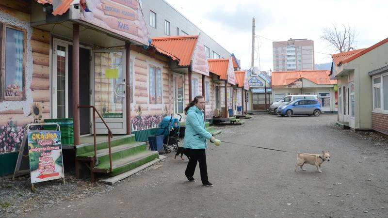 Жители Южно-Сахалинска собирают подписи под обращением к мэру не закрывать продуктовый рынок