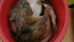 Рыбу по низким ценам доставили в Долинский и Тымовский районы утром 21 сентября