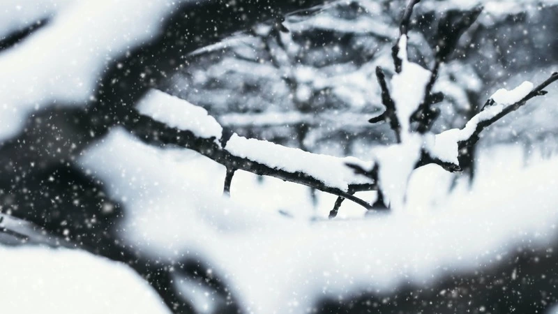 Снег и усиление ветра: синоптики уточнили детали циклона на Сахалине