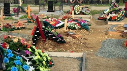 Полиция накажет осквернителей могил на кладбище в столице Сахалина