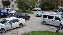 Вишневский предложил возить детей в школы Южно-Сахалинска на велосипеде 