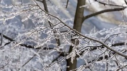 Снег, порывистый ветер и потепление до +1 градуса прогнозируют в Сахалинской области