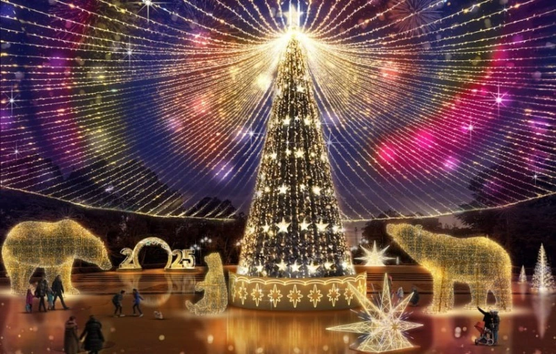 Встречаем год Зелёной Деревянной Змеи