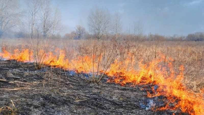 Сухая трава загорелась на сопке в Южно-Курильске 9 марта