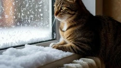 Детсады, школа и десятки домов проведут без отопления 20 марта 