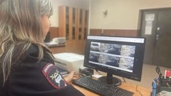 Число аварий с пострадавшими за год снизилось на 9% в Сахалинской области 