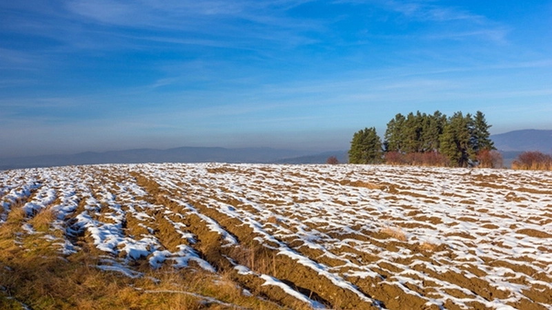 Жилье, сельское хозяйство и туризм – основные виды использования «дальневосточного гектара»