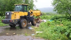 Почти 200 несанкционированных свалок убрали в Южно-Сахалинске с начала 2024 года 