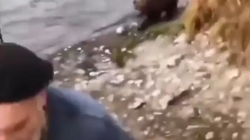 «Привет». Упитанный медведь выгнал с реки рыбаков с удочками