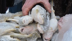 Свежую рыбу по доступной цене предложили жителям Южно-Сахалинска 18 декабря