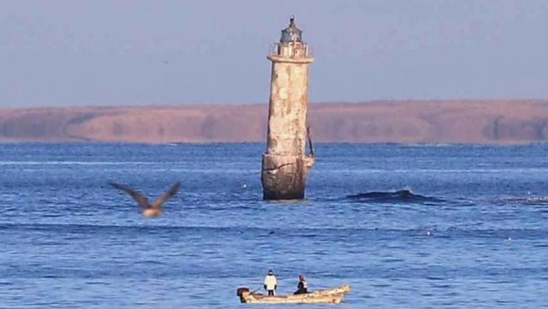 В Японии хотят измерить точное расстояние до Южных Курил