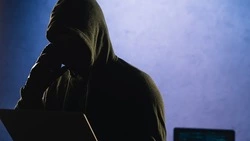 МВД назвало самые популярные мошеннические схемы по обману россиян