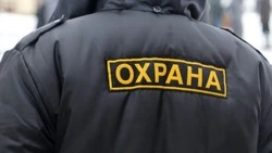 Хинштейн: российские ТЦ могут обеспечить вооруженной охраной