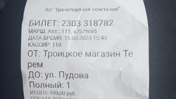 «Должны мерзнуть и опаздывать»: жители Анивы рассказали о проблемах с автобусами №111
