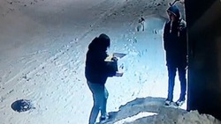 «Твари! Совесть не мучает?»: жительница Сахалина выбросила новорожденных щенков на мороз