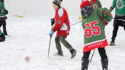 Дворовые команды по хоккею на Сахалине сразятся за кубок «Спорт против подворотни»