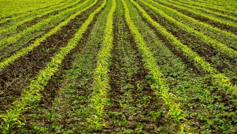 Церковный праздник 10 мая 2025: что нельзя делать в этот день, приметы