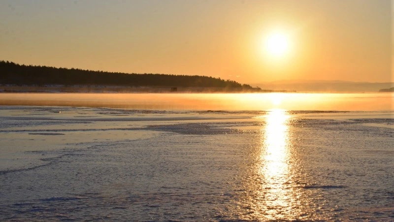 Крупнейший рыбоводный участок на юге Сахалина продадут на аукционе