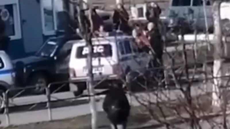 В Поронайске полицейские устроили погоню за неугомонными гонщиками