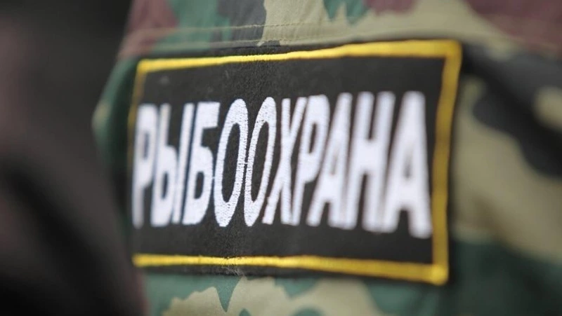 Инспекторам рыбоохраны расширили полномочия по защите краснокнижных ресурсов 
