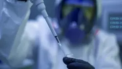 «Создана техническая платформа». Что известно о единой вакцине от гриппа и COVID-19