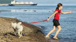 Сахалинский завод СПГ привлекает все больше туристов