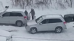 Женщина с ведром еды для собак на улице Озерной в Южно-Сахалинске попала на видео