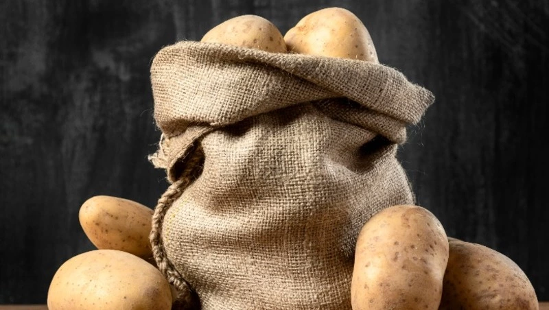 Беларусь поставит 15 сортов картофеля на Сахалин для испытаний