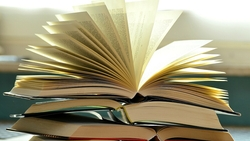 Книжный топ-5