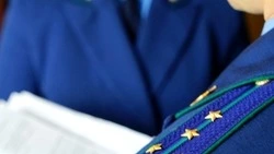 Сотрудника лесного хозяйства в Поронайске обвиняют в незаконном присвоении средств